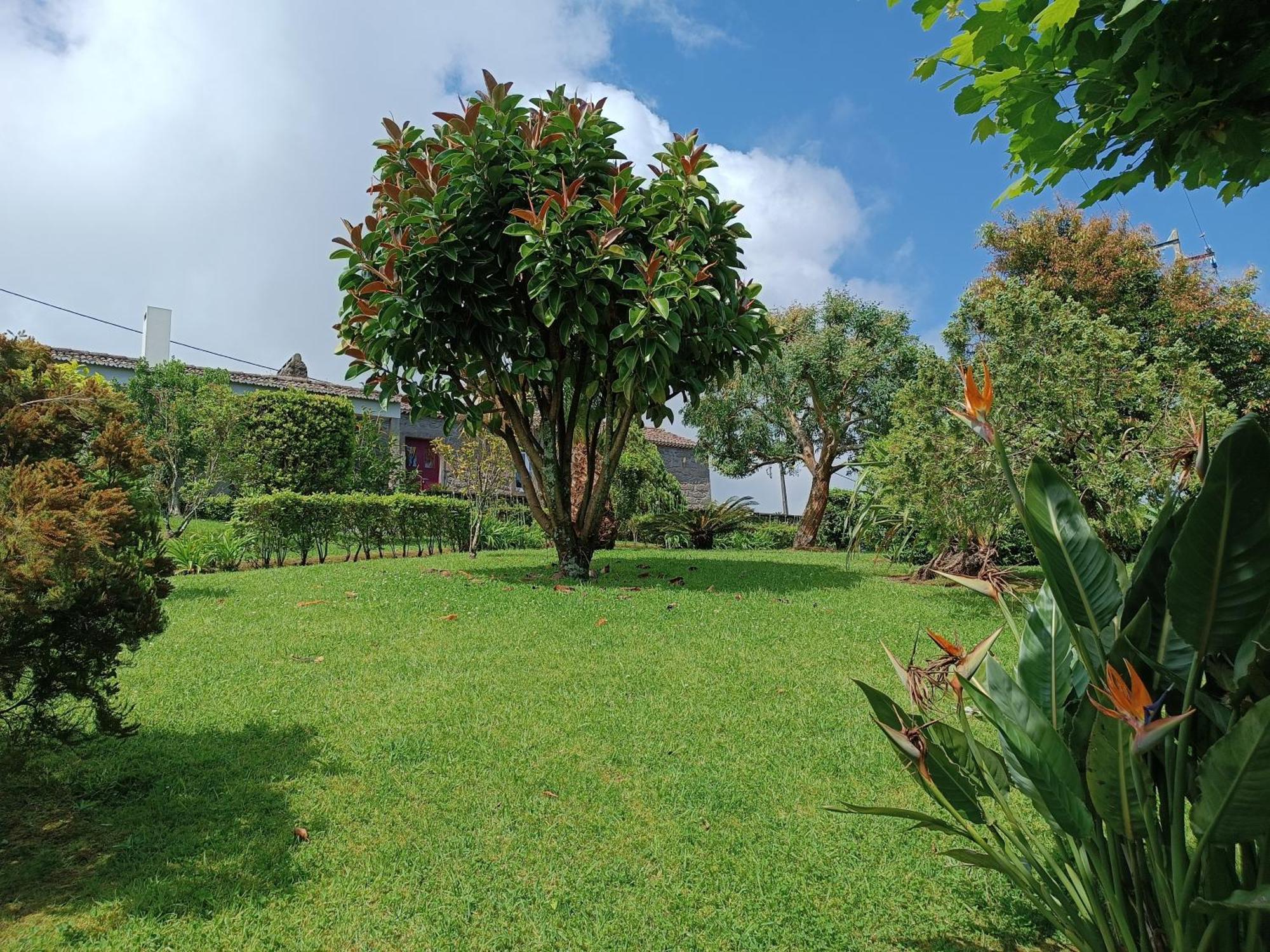 Tradicampo Eco Country Houses Nordeste  Exterior photo