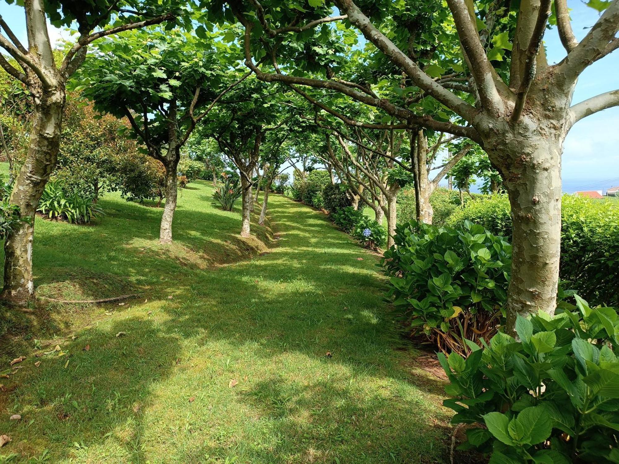 Tradicampo Eco Country Houses Nordeste  Exterior photo